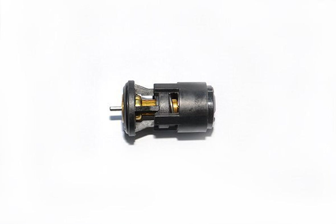 Volkswagen Golf Termostat [Behr] (032121110B)